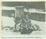 Могила Гашека на деревенском кладбище в Липнице
